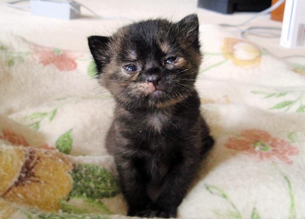 Teeny Cuteness: Submitted by Danielle L. "I am the proud ... Teeny Cuteness: Submitted by Danielle L. "I am the proud ...